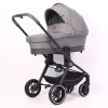 Детская коляска Rant Flex Trends 2 в 1