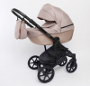 Детская коляска Peppy Indie 3 в 1
