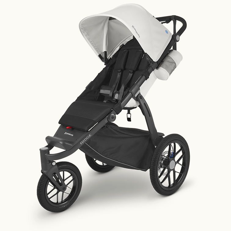 Прогулочная коляска UPPAbaby Ridge Reggie
