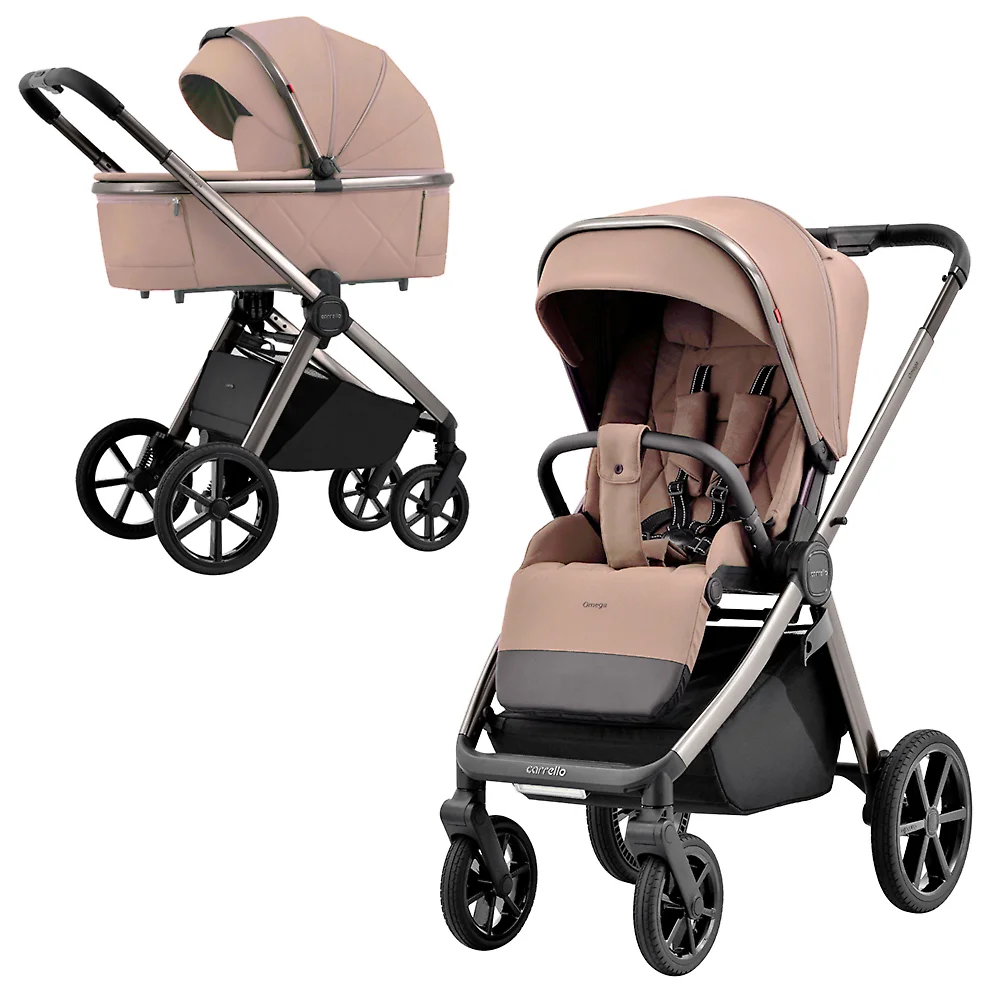 Детская коляска Carrello Omega 2 в 1