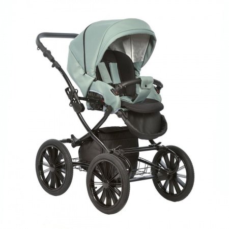 Детская коляска Indigo AVEO Classic 14 2в1