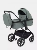 Детская коляска Rant Moss 2 в 1
