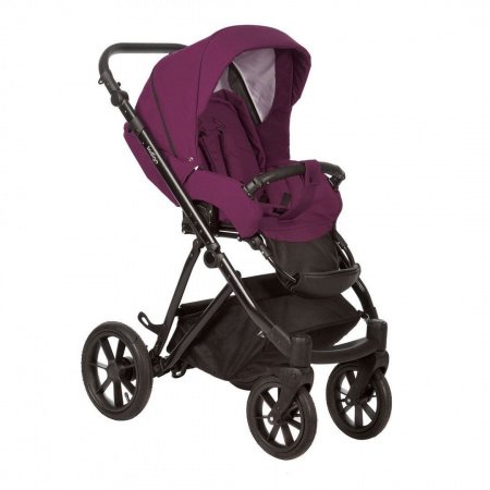 Детская коляска Indigo Verona 2 в 1