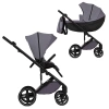Детская коляска Anex Mev 2 в 1