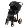 Детская коляска ADAMEX Chantal Se 3 в 1