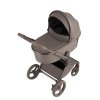 Детская коляска Anex Flo 2 в 1