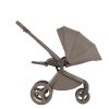 Детская коляска Anex Flo 2 в 1