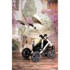 Детская коляска Esperanza Victoria Lux 3 в 1