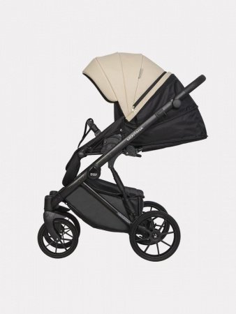Детская коляска Riko Basic Montana Ecco 2 в 1