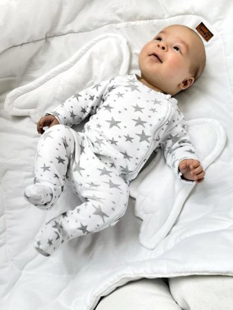 Детский конверт-одеяло WINGY