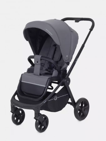 Прогулочная коляска Rant Flex 2025