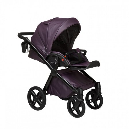 Детская коляска LONEX EMOTION XT ECO 2 в 1