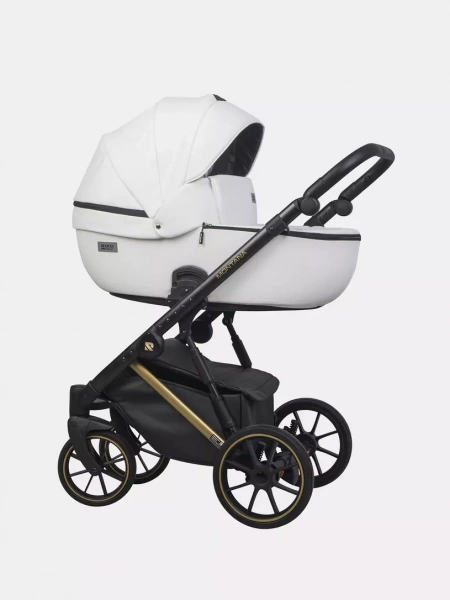 Детская коляска Riko  Basic Montana Premium Gold 2 в 1