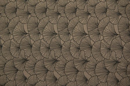 Детская коляска Espiro Next Up Limited Heartleaves 2 в 1