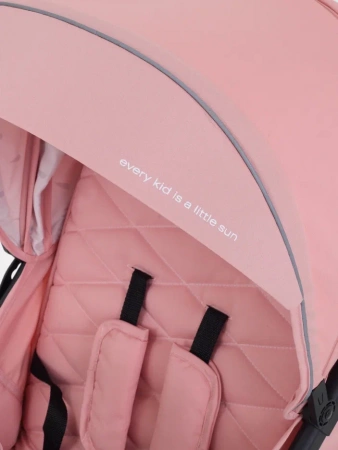 Прогулочная коляска Rant Beat