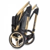 Детская коляска ADAMEX Chantal Star Collection Eco 2 в 1