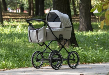 Детская коляска Noordline Nicole Classic Black 2 в 1