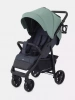 Прогулочная коляска Rant Basic Vega
