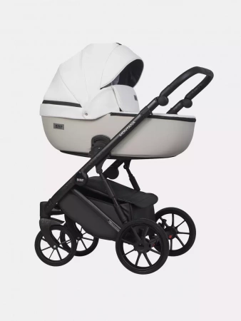 Детская коляска Riko Basic Montana Ecco 2 в 1