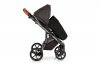 Детская коляска Roan Bloom 2 в 1