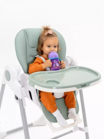 СТУЛЬЧИК ДЛЯ КОРМЛЕНИЯ RANT LEVEL