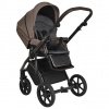 Детская коляска Roan Bass Next 2 в 1