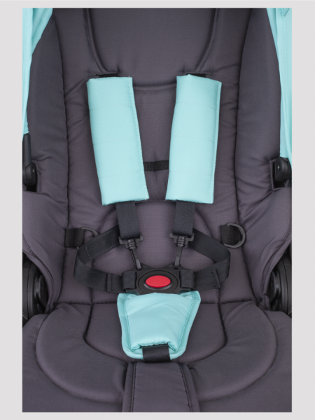 Прогулочная коляска Rant Bloom Star