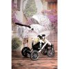 Детская коляска Esperanza Victoria Lux 2 в 1