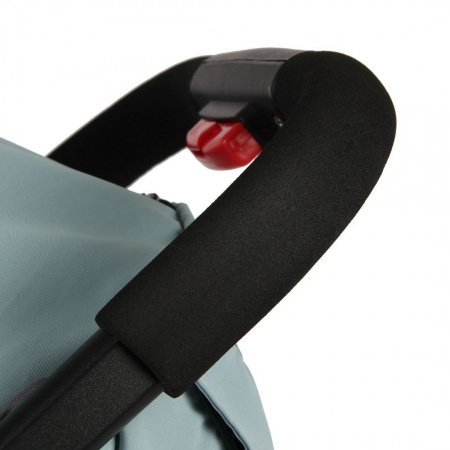 Прогулочная коляска  Indigo Assana