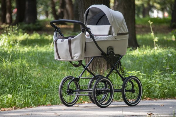 Детская коляска Noordline Nicole Classic Black 2 в 1