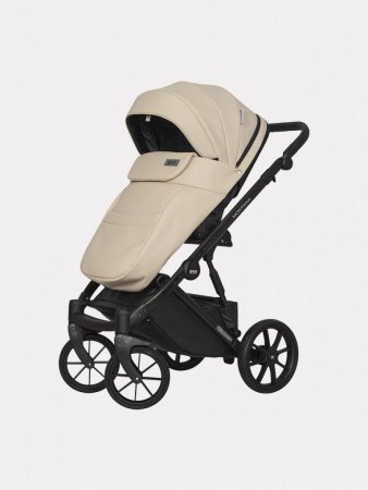 Детская коляска Riko Basic Montana Ecco 2 в 1