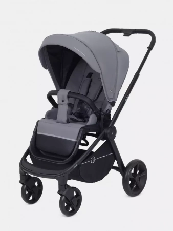 Прогулочная коляска Rant Flex 2025