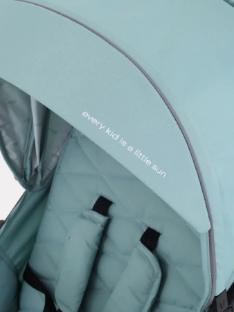 Прогулочная коляска Rant Beat