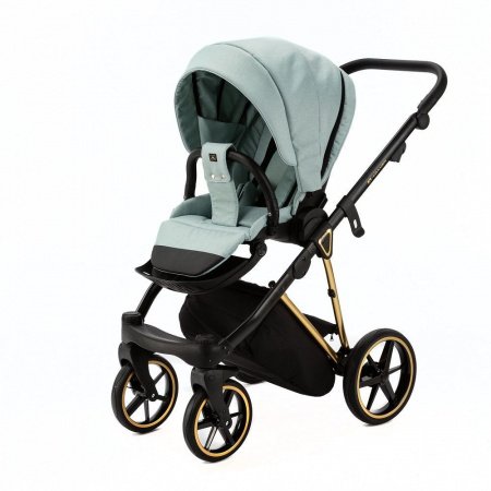 Детская коляска Adamex Belissa Special Edition 2 в 1