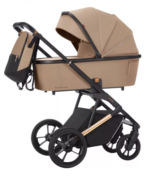 Детская коляска Carrello Sigma 3 в 1