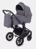 Детская коляска Rant Flex 2 в 1 2025