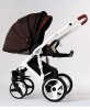 Коляска RETRUS ALPINA 2 в 1
