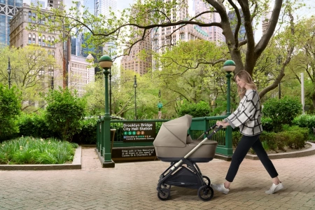 Детская коляска Inglesina Electa  System Duo 2 в 1