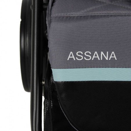Прогулочная коляска  Indigo Assana
