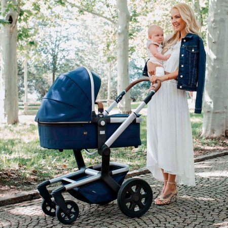 Детская коляска Joolz Day3 2 в 1