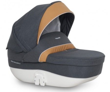 Детская коляска EXPANDER VANGUARD 2 в 1