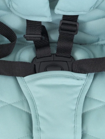 Прогулочная коляска Rant Beat