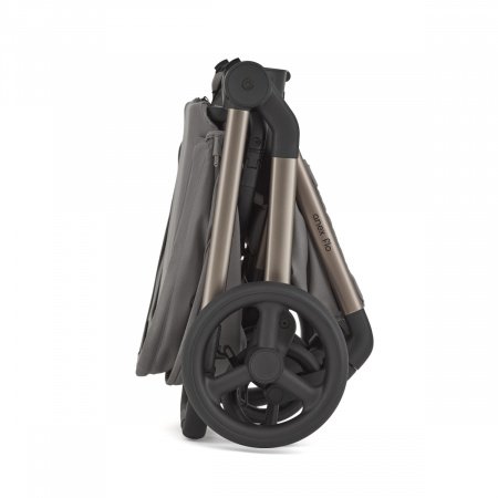 Детская коляска Anex Flo 2 в 1