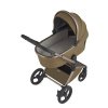 Детская коляска Anex Flo 2 в 1