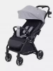 Прогулочная коляска Rant Sky