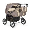 Детская коляска-трансформер для двойни Indigo Santa Cruz PC