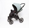 Детская коляска Peppy Zoom 2 в 1