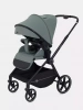 Прогулочная коляска Rant Moss