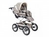 Детская коляска Reindeer Style 2 в 1