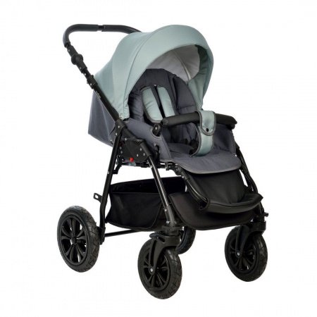 Детская коляска Indigo Charlotte Sity 2в1